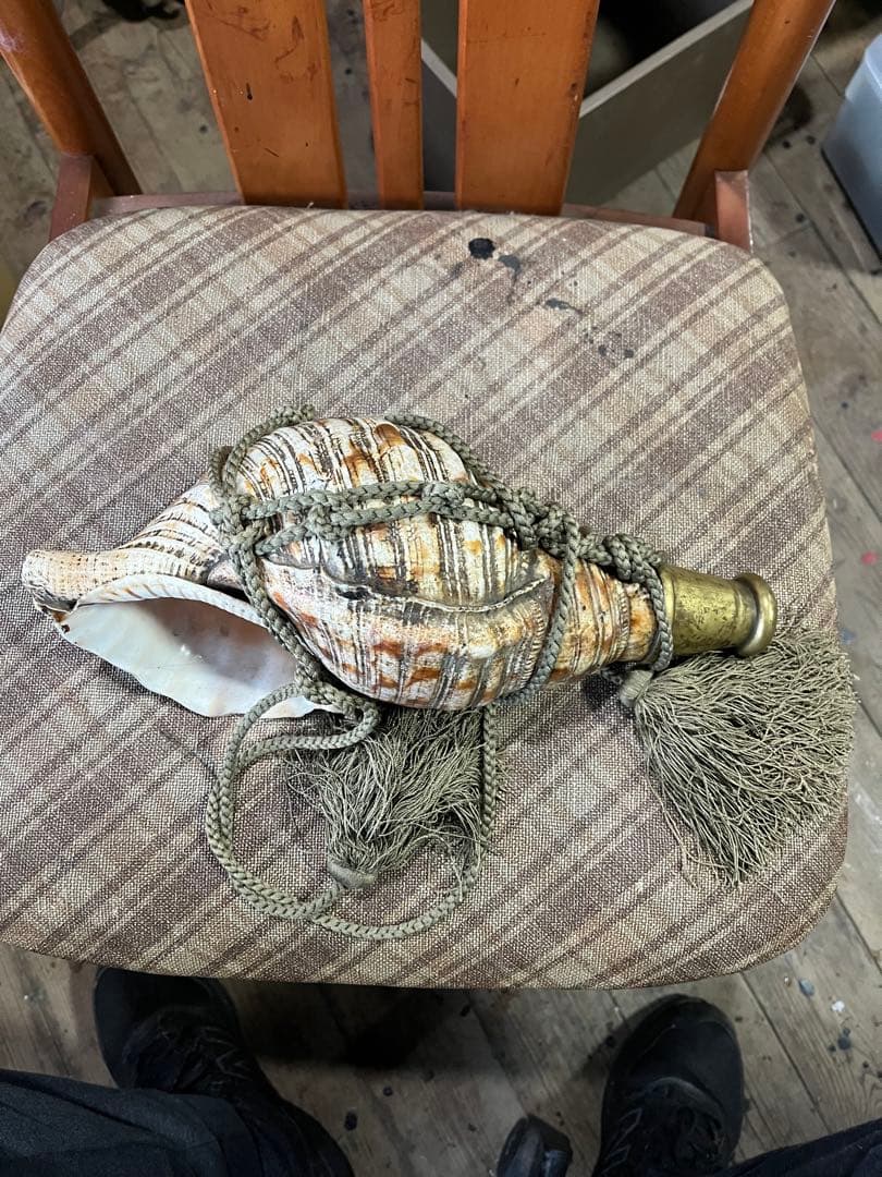 法螺貝　年代物さ　長さ32cm