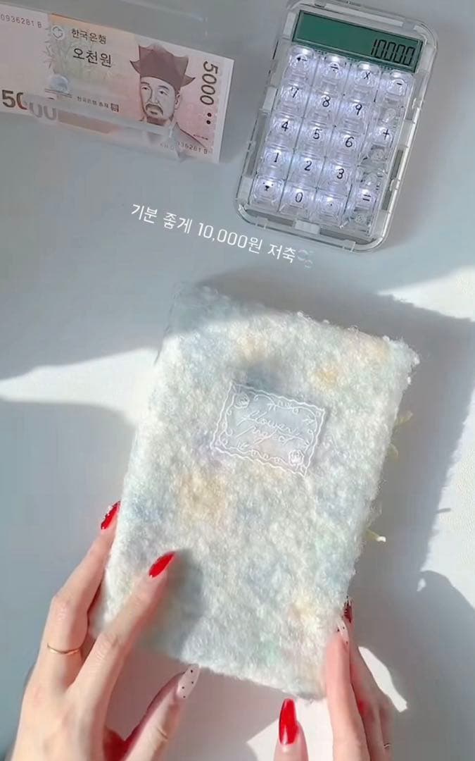 1点のみ 韓国 バインダー 現金 貯金 リフィル