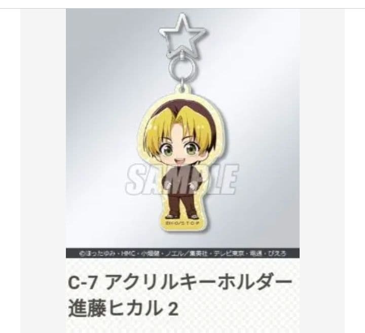 くじ引き堂 ヒカルの碁 アクリルキーホルダー 10種 ヒカル アキラ