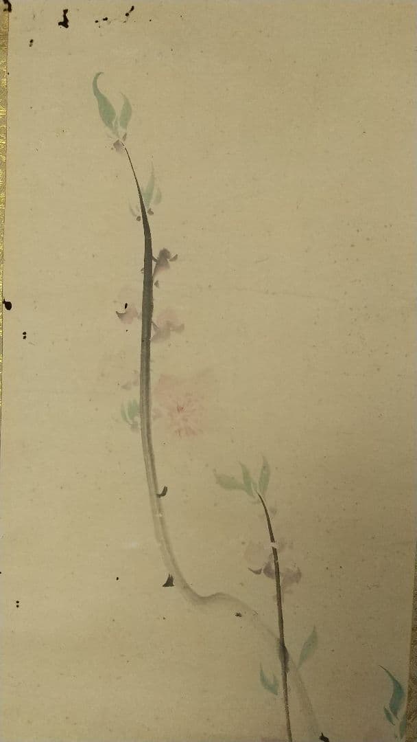 酒井抱一 桃節句 紙本 掛軸 虫食い傷み目立つ 琳派