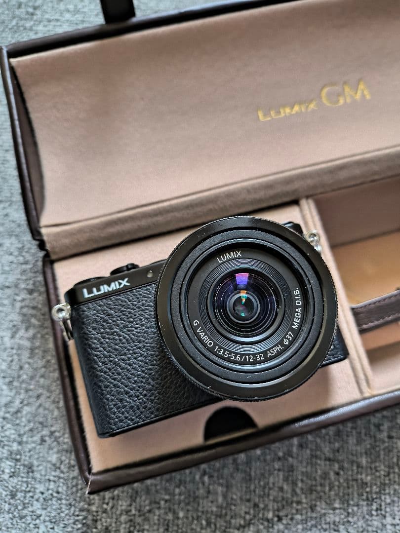 Panasonic LUMIX GM1 レンズキット 専用ケース付き