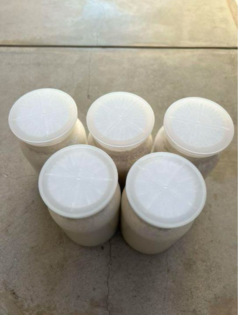 カワラ菌糸ビン1100 10本セット