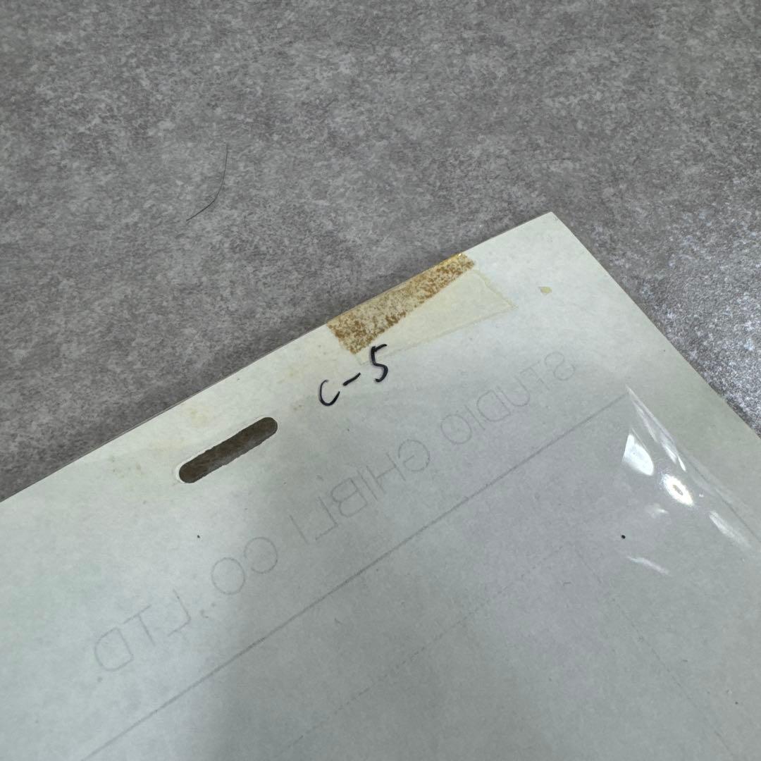 希少 おもひでぽろぽろ 岡島タエ子 セル画 C5 スタジオジブリ