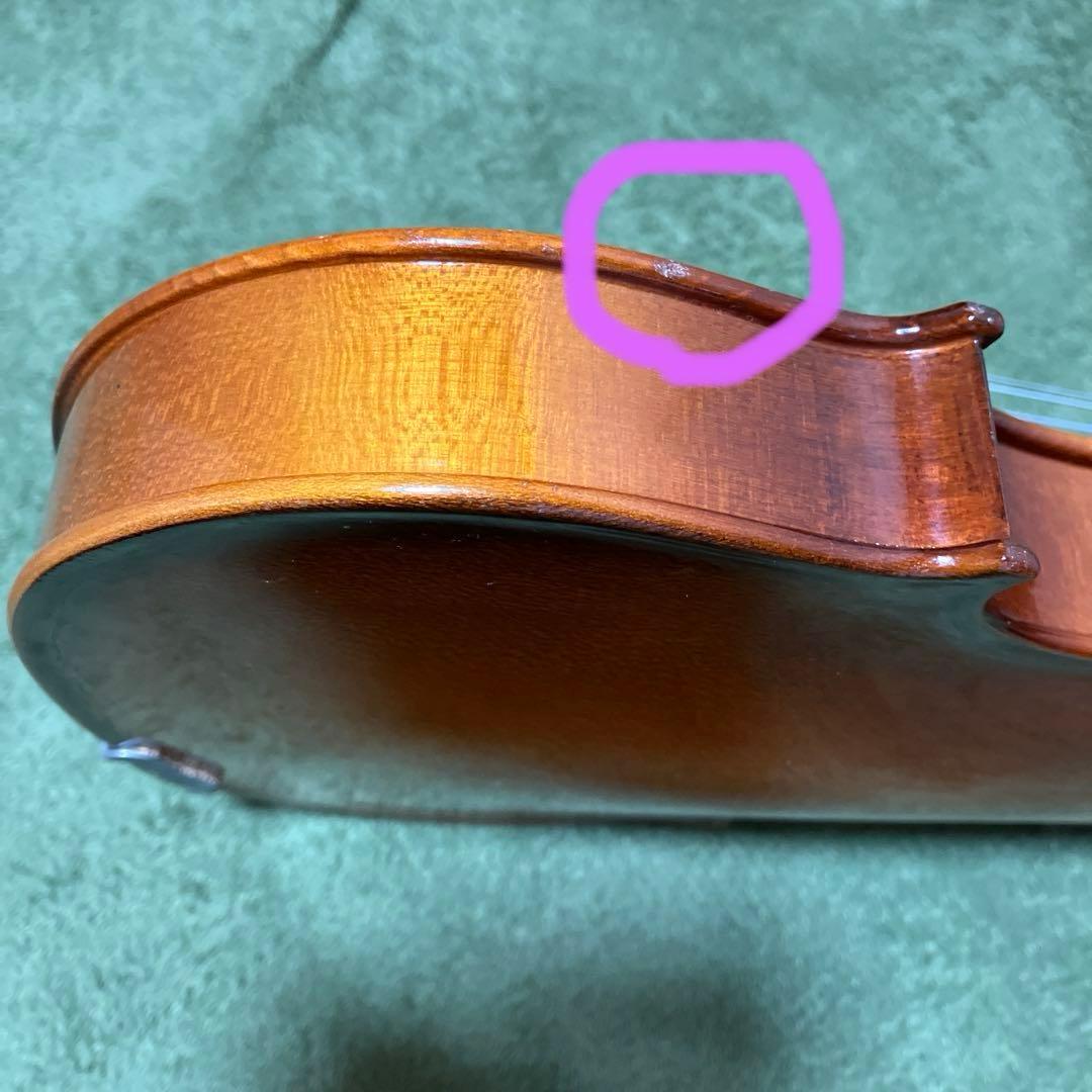 HORA 1/2 分数 バイオリン Reghin レジン