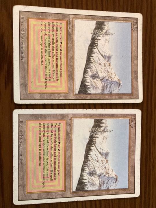 『MTG』デュアルランド taiga 2枚セット