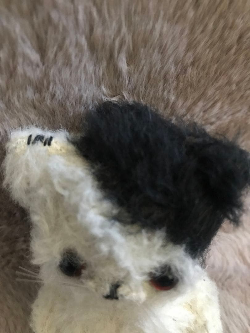 テディベア　加茂美智子　白黒　猫　ぬいぐるみ　テディベア 作家　kamo