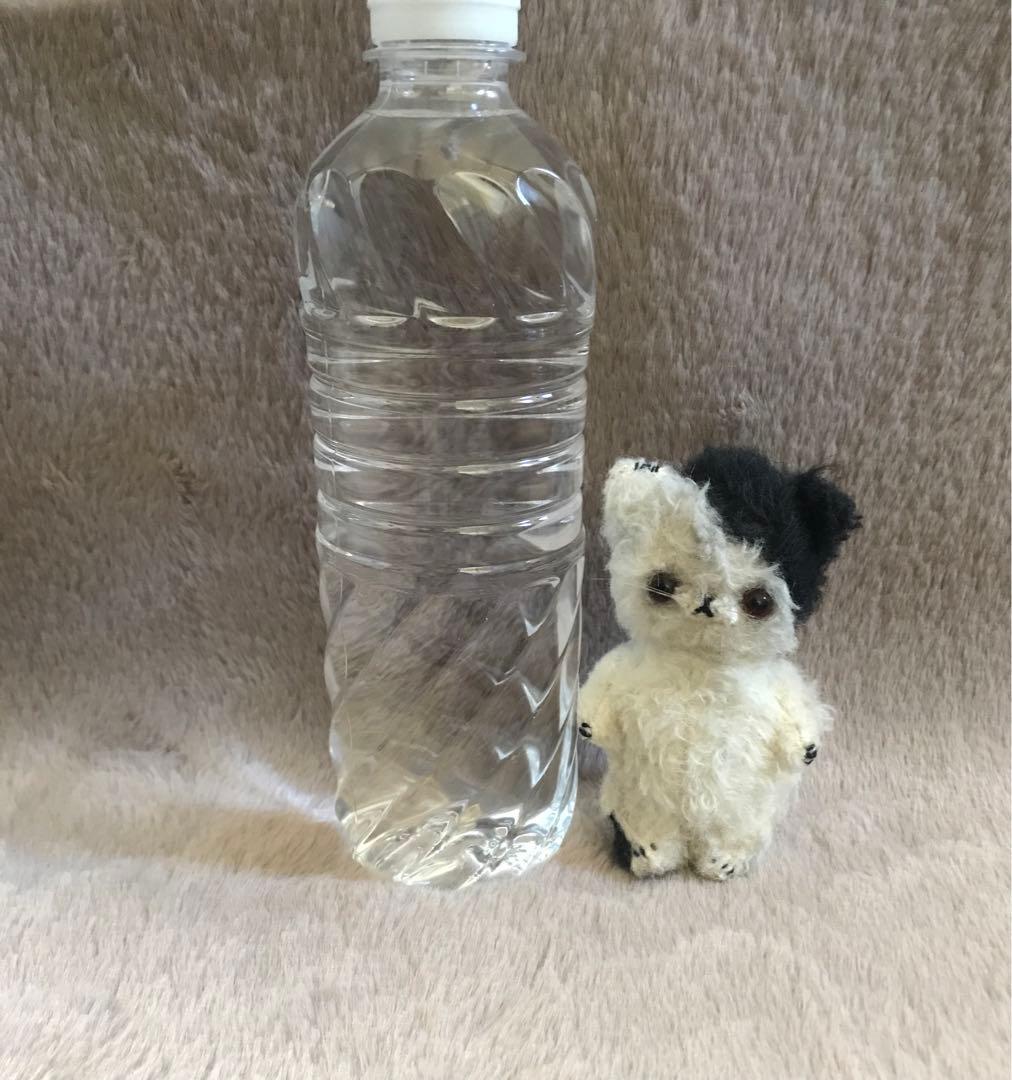 テディベア　加茂美智子　白黒　猫　ぬいぐるみ　テディベア 作家　kamo