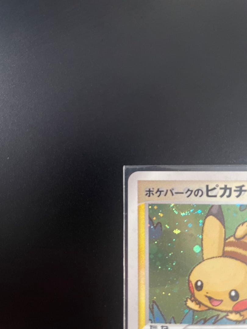 ハ*ス様 ポケパークのピカチュウ 004/009