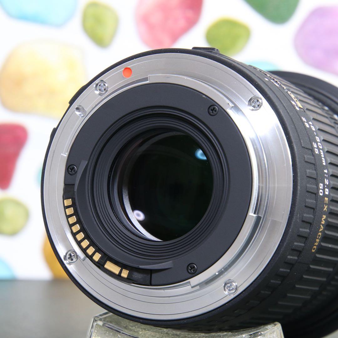 ♥︎美品 ◇高性能ズームレンズ ◇SIGMA 18-50mm F2.8 Canon