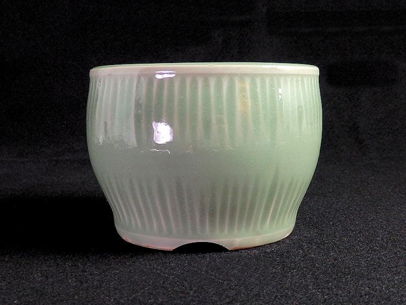 三田青磁　幾何学紋　草紋の図　火入れ　D876AS-Bks