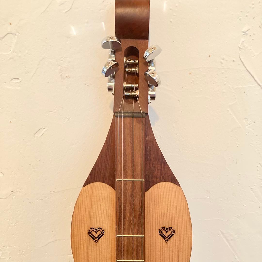 アパラチアン　ダルシマー　マウンテン　シンディーローパー