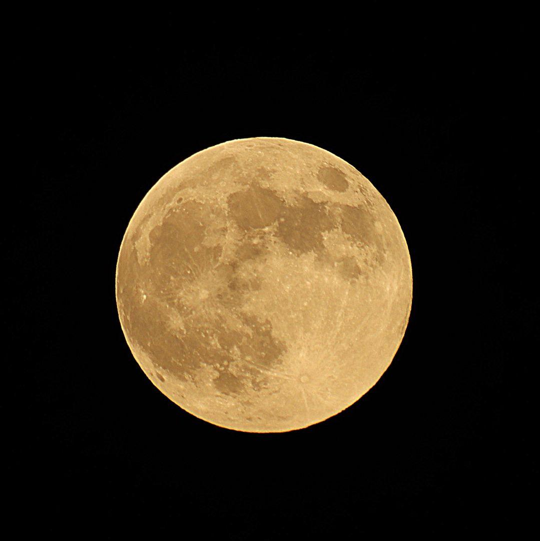 今夜のみ限定値引きEF 70-300mm F4-5.6 IS USM 美品