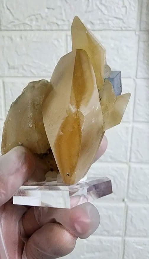 金色の方解石の上に蛍石