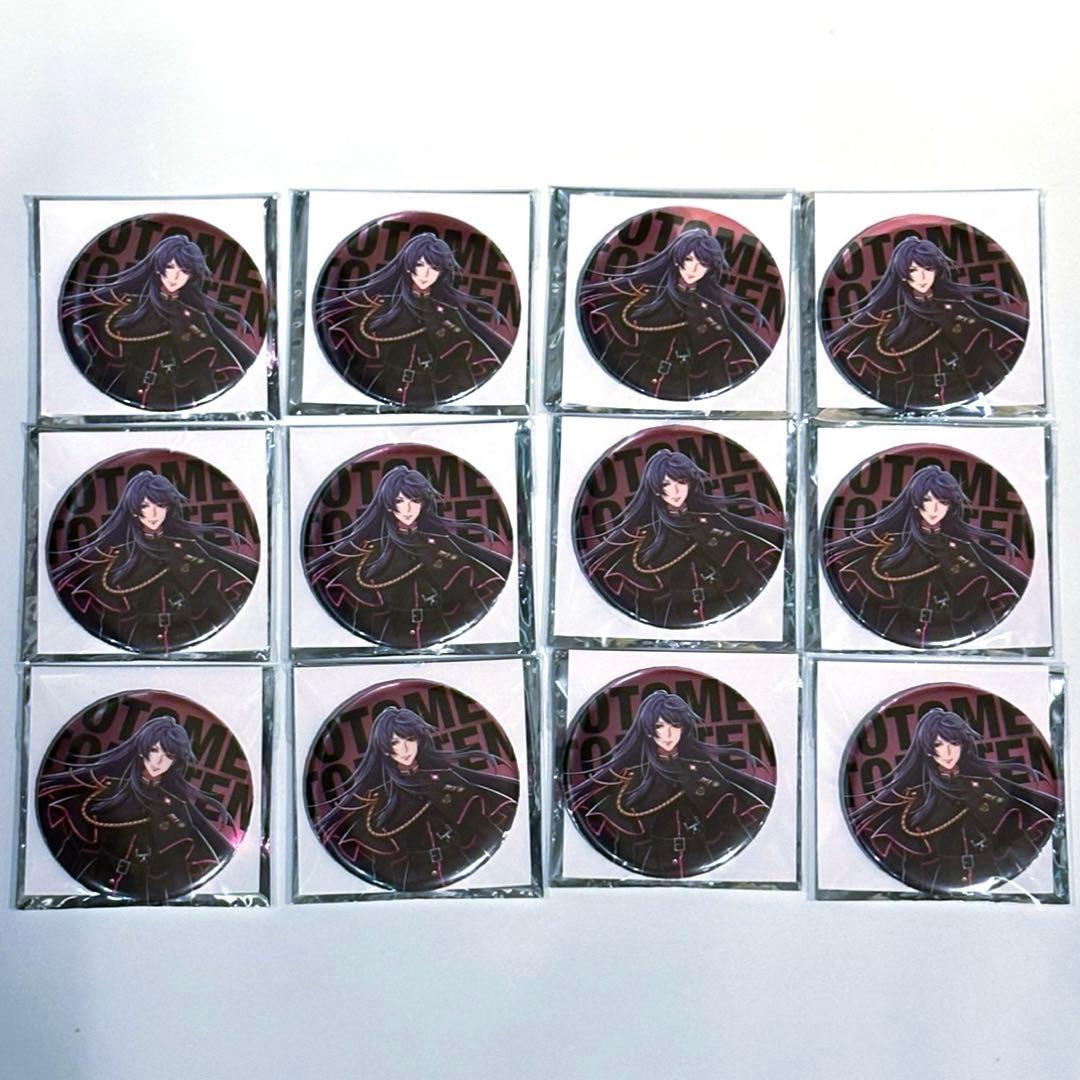 ヒプノシスマイク　ヒプマイ　ファンミ　缶バッジ　乙統女　引き　12点