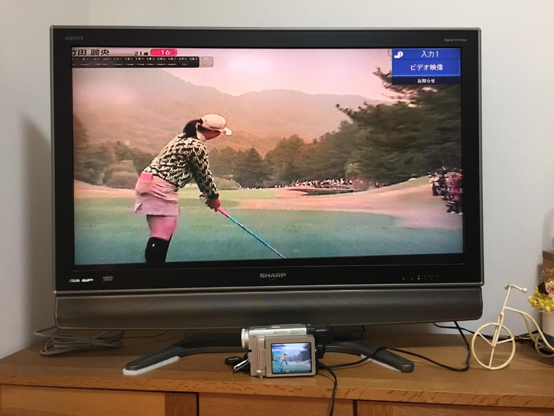 撮影再生ダビングOK　SHARP　VL-PD1　付属品あり　液晶大画面