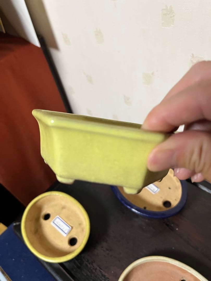 487 盆栽　盆栽鉢　植木鉢　和鉢　服部　山房　他