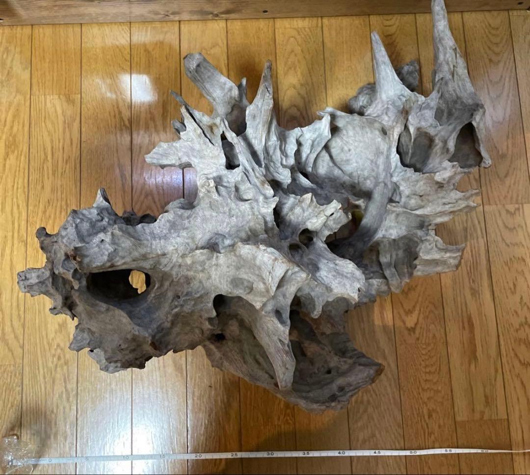 超美形大型流木L〜LLサイズ＋おまけ流木付き