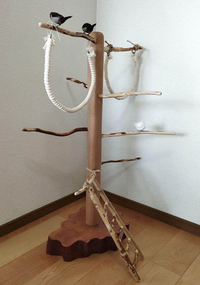 【中型鳥さん用】螺旋状♬バードアスレチック