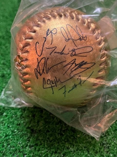 大谷翔平2025限定WSチャンピオン記念サイン入GOLDボールローリングス社製