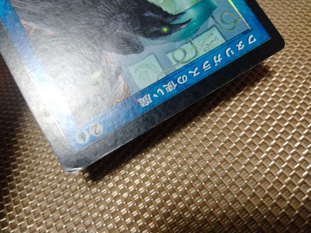 確認用】ウルザズ・レガシー foil ワタリガラスの使い魔 日本語1枚　MP寄り