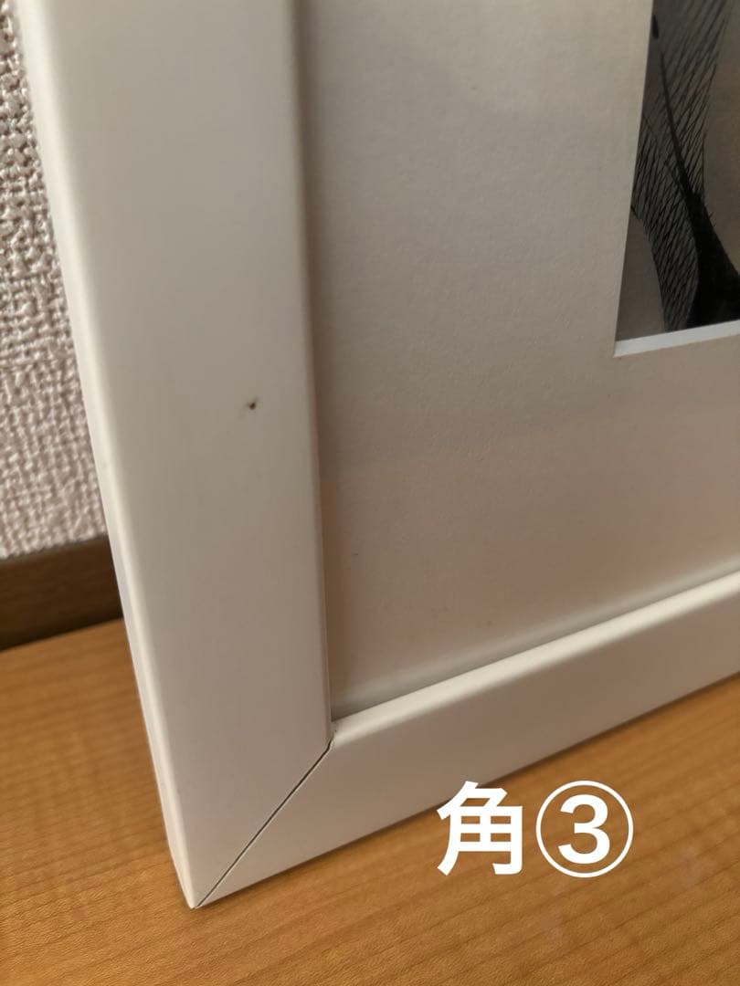 18日迄荒木飛呂彦 ジョジョ展複製原画 徐倫＆ブチャラティ ジョジョの奇妙な冒険