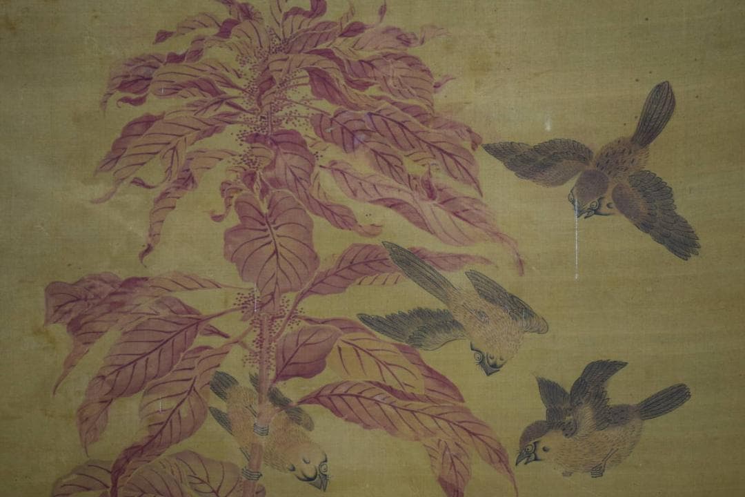 模写/田能村直入/小虎/鶏頭に群雀図/ケイトウ/布袋屋掛軸HE-621