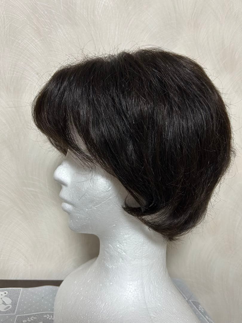 アートネーチャーフルウイング