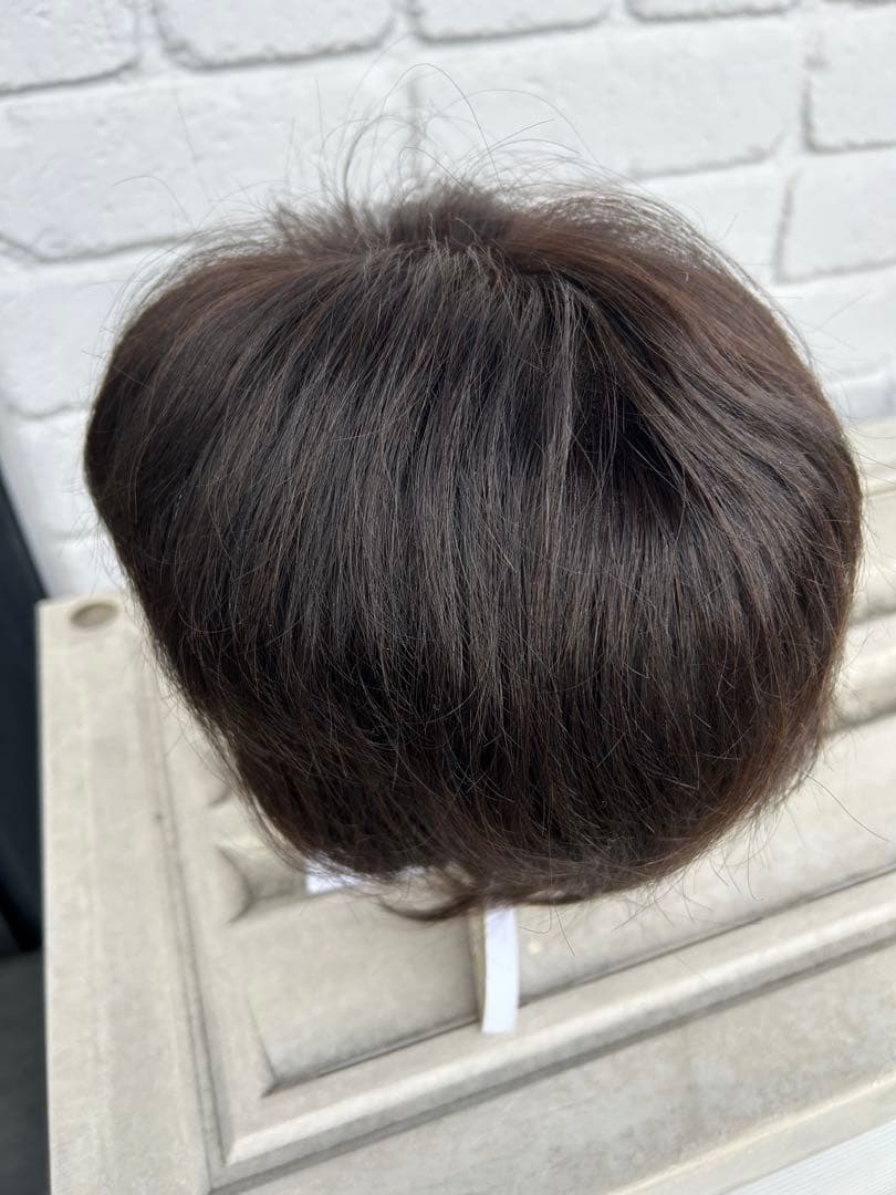 アートネーチャーフルウイング