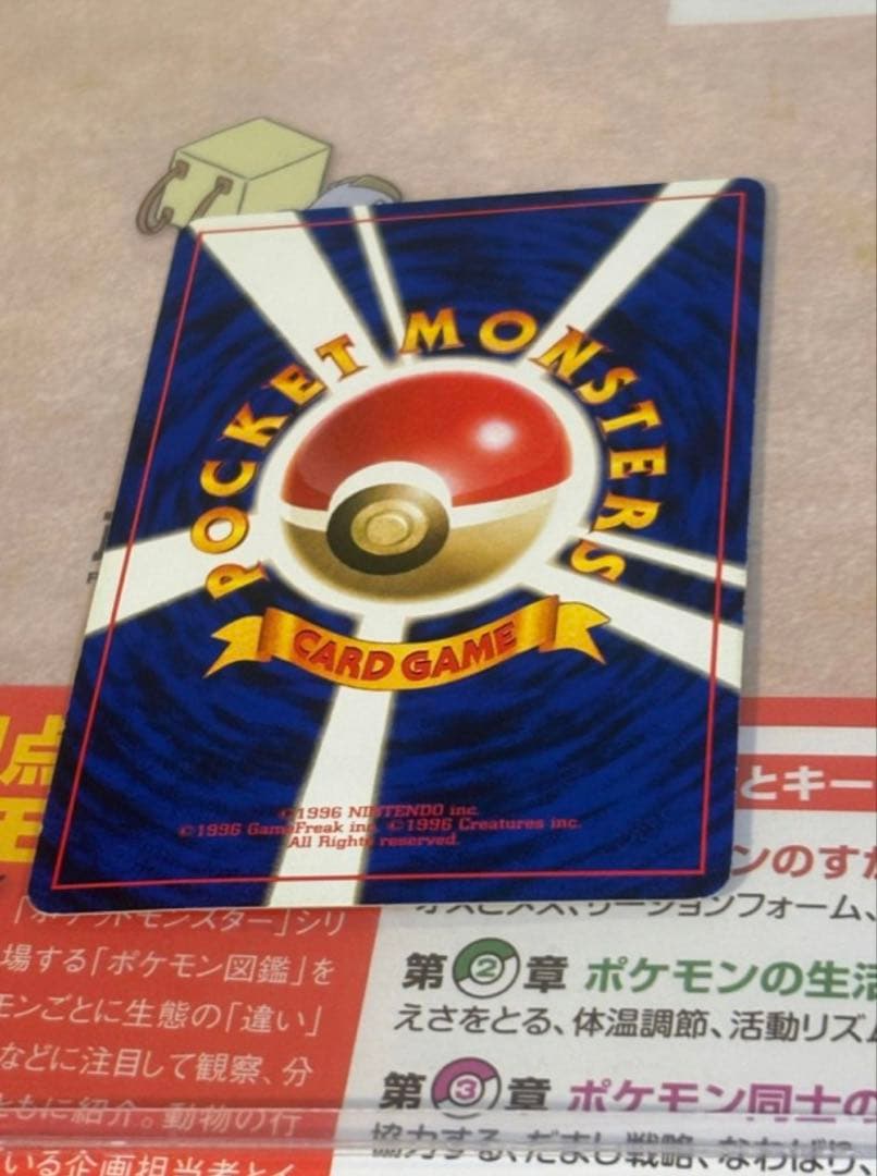 旧裏 ひかるライチュウ リザードン