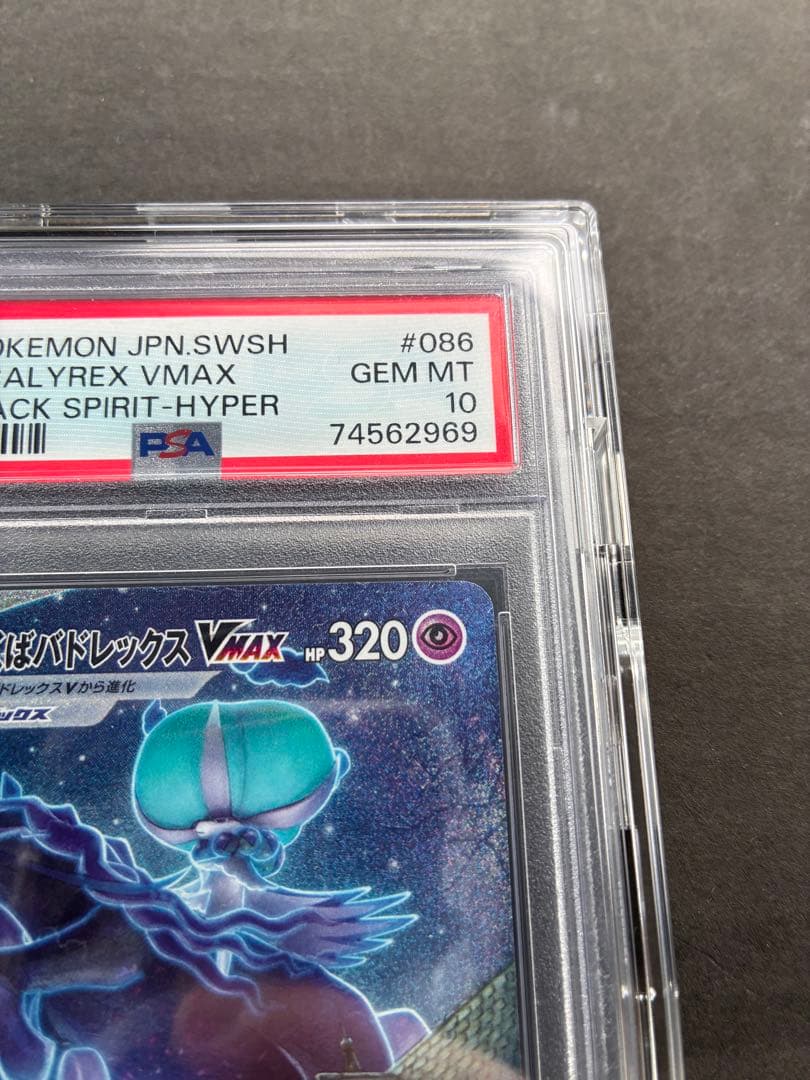 最安値【PSA10】こくばバドレックスVMAX SA HR プロテクター付き