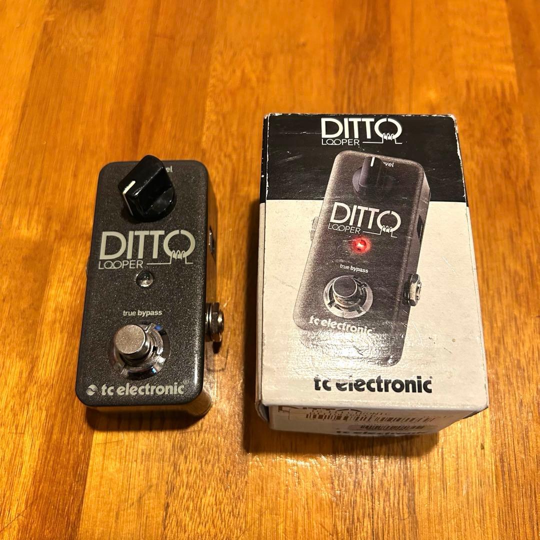 【美品】TC Electronic Ditto Looper