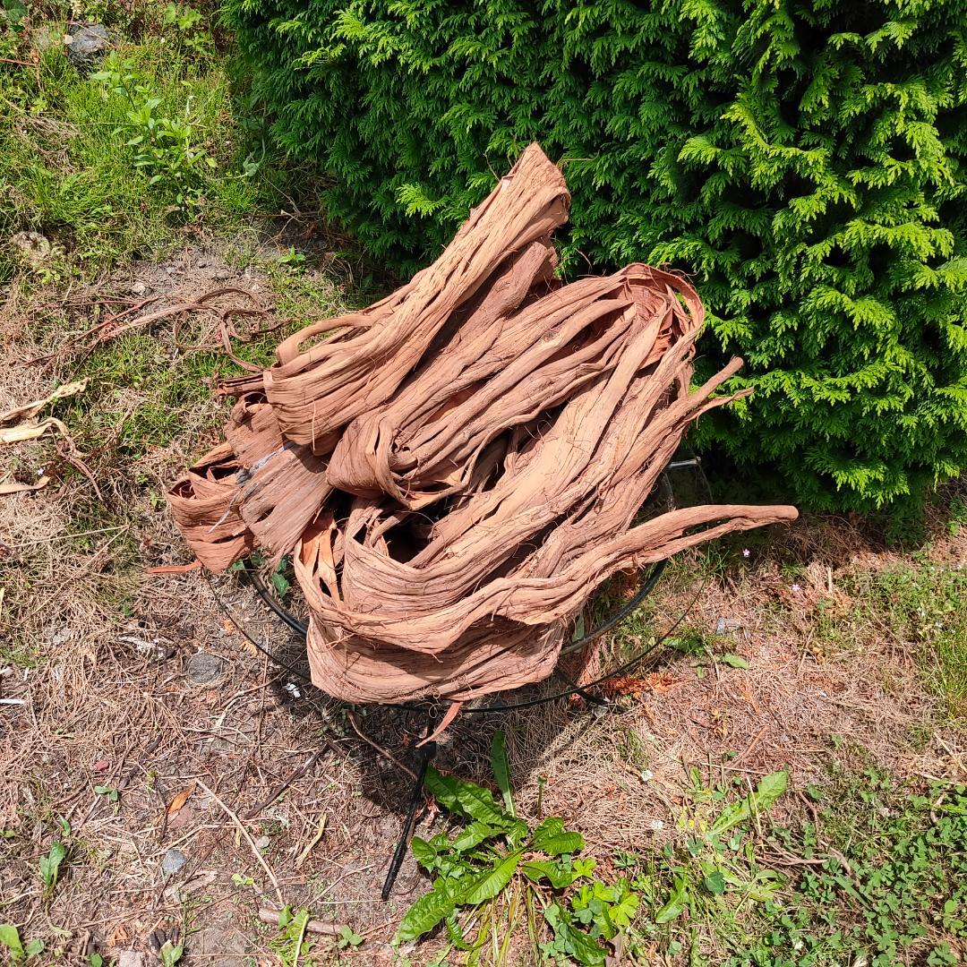 青森岩木山産 山葡萄 皮 樹皮 約3kg B品