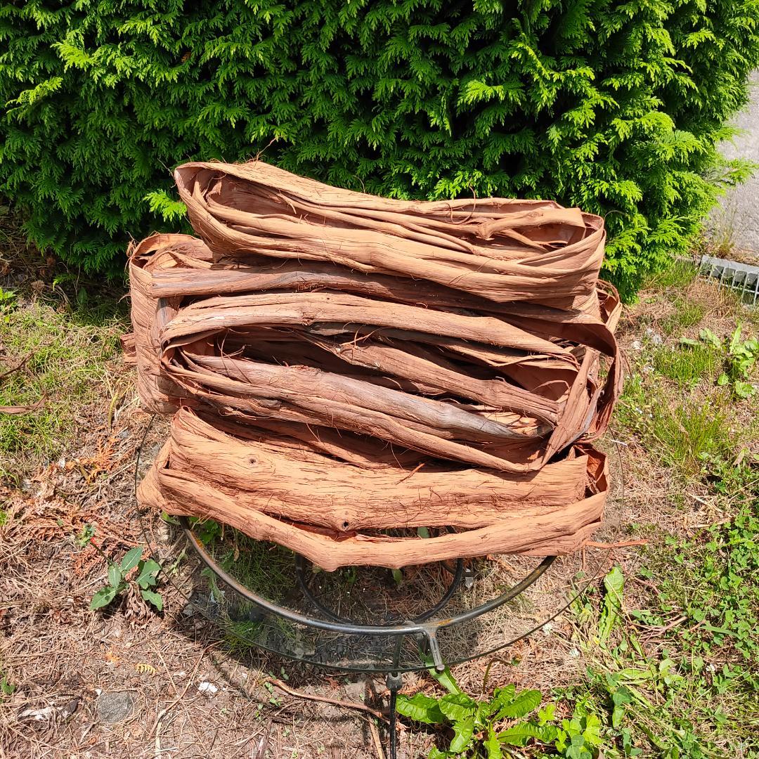 青森岩木山産 山葡萄 皮 樹皮 約3kg B品