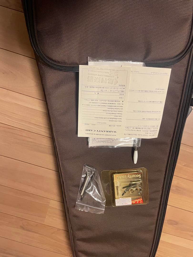 ギター vanzandt STV-70R