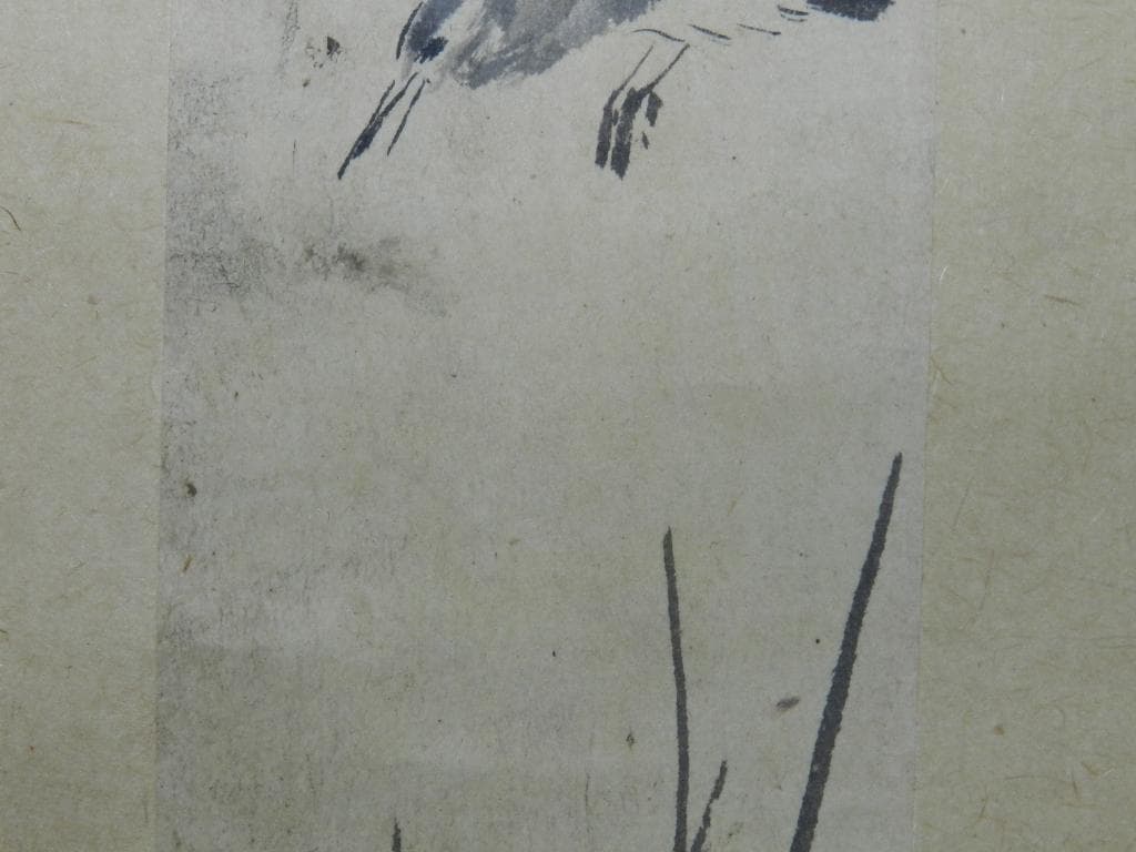 MR1 年末年始感謝セール、￼谷文晁 【五位鷺に芦】 真筆 茶掛け 掛軸 江戸期