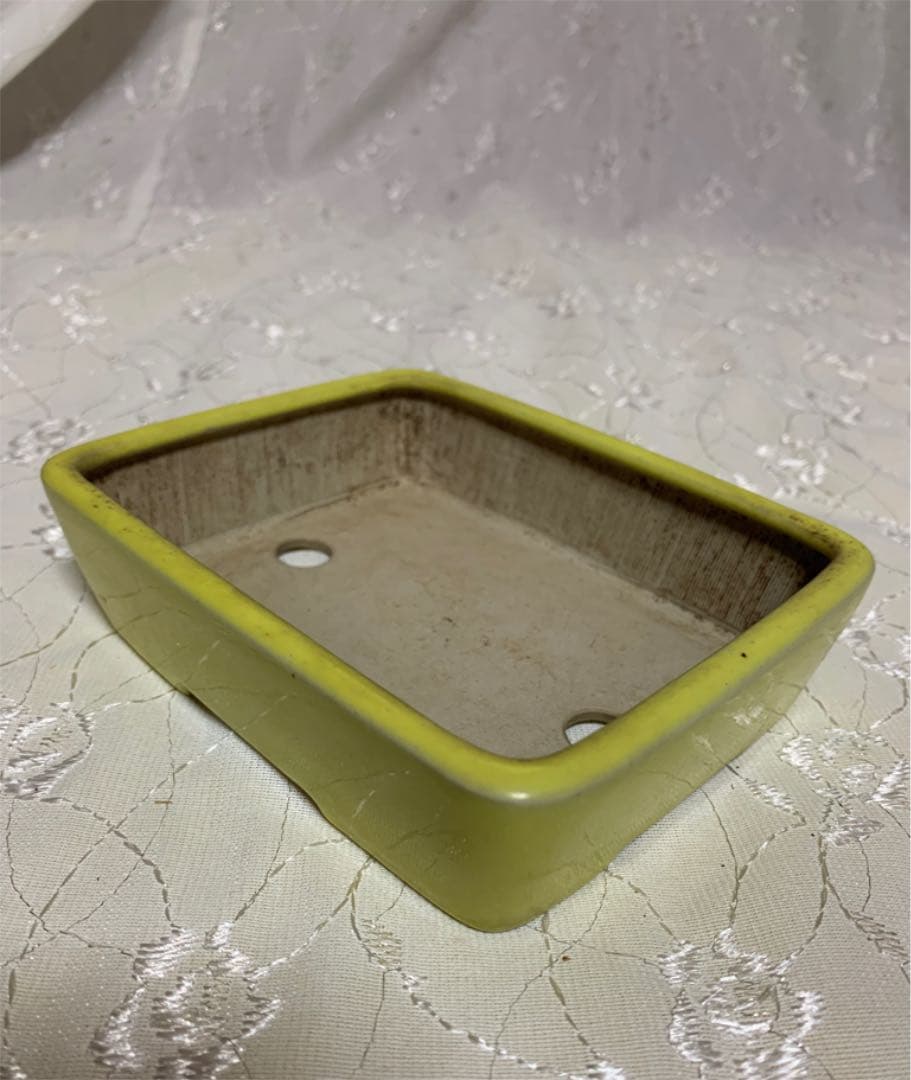 青香　長方　盆栽鉢