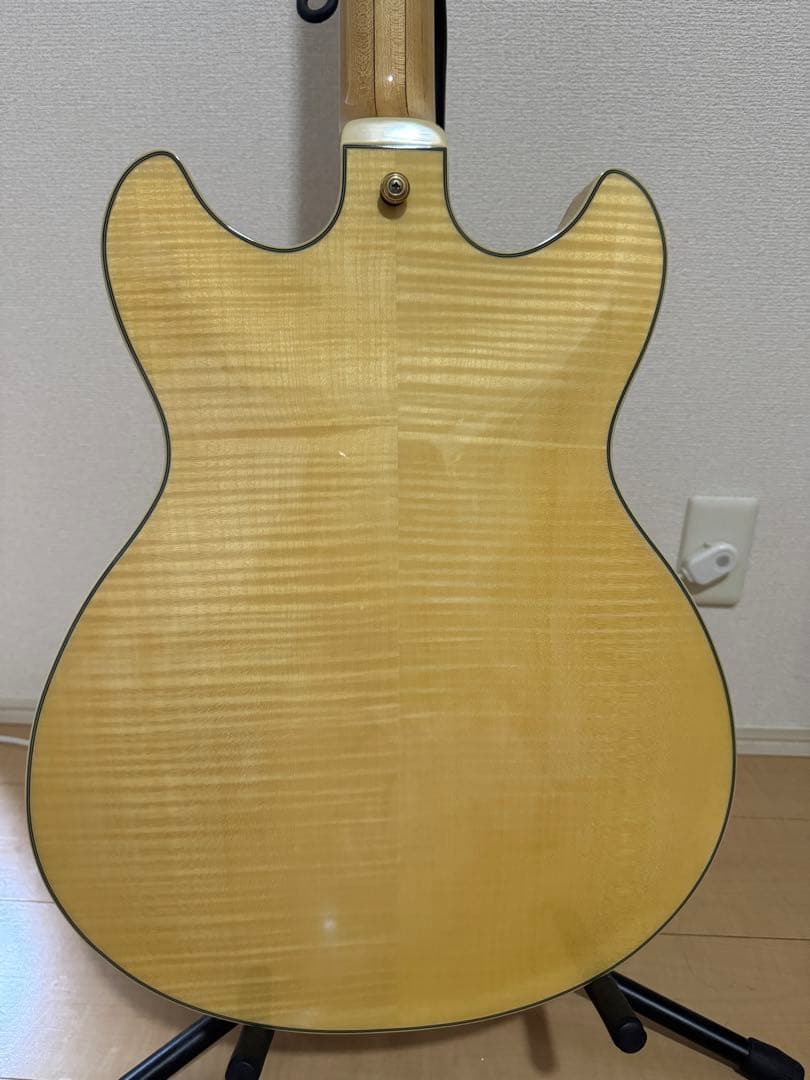 アイバニーズ製セミアコ