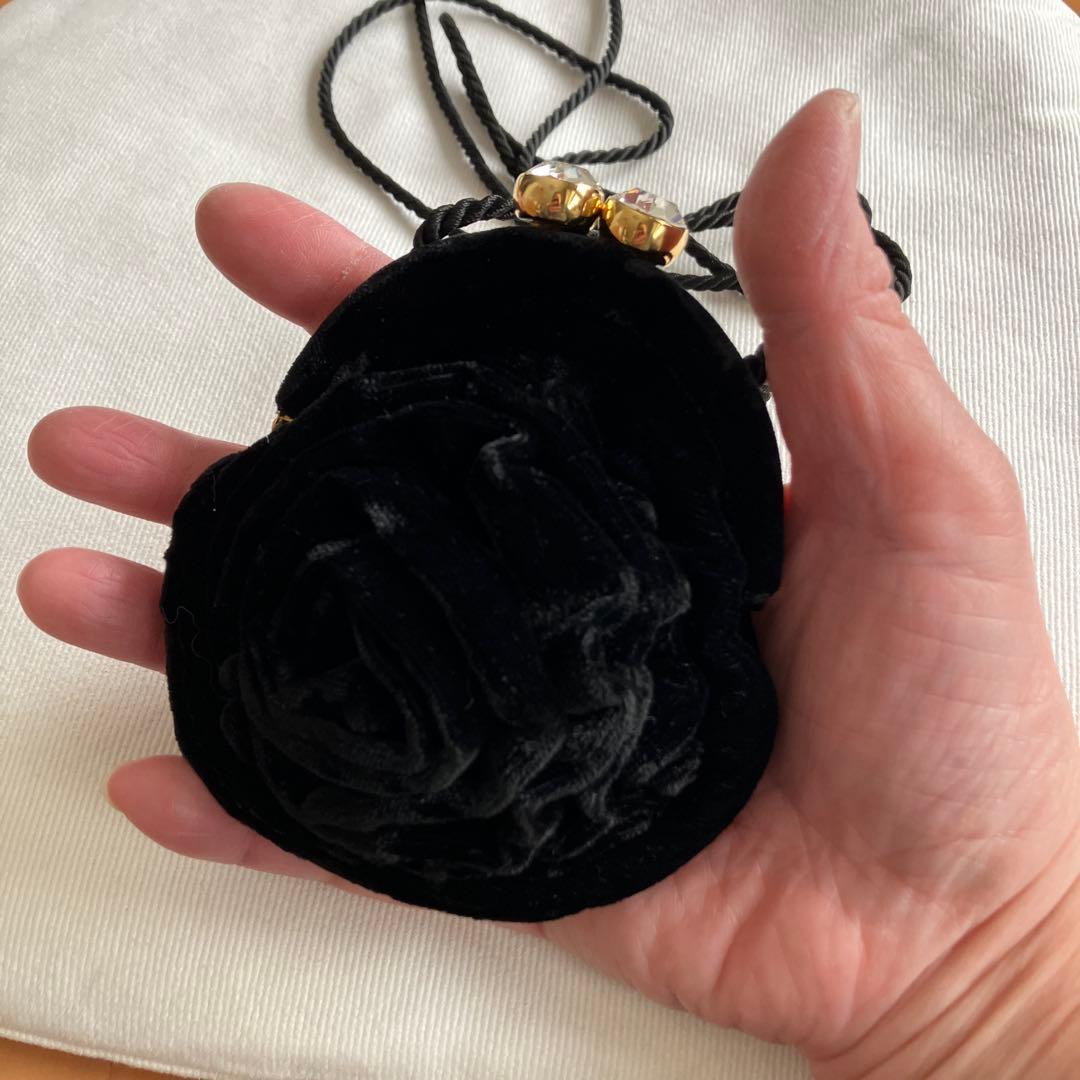 専用　ボッテガ　　パーティーバッグ