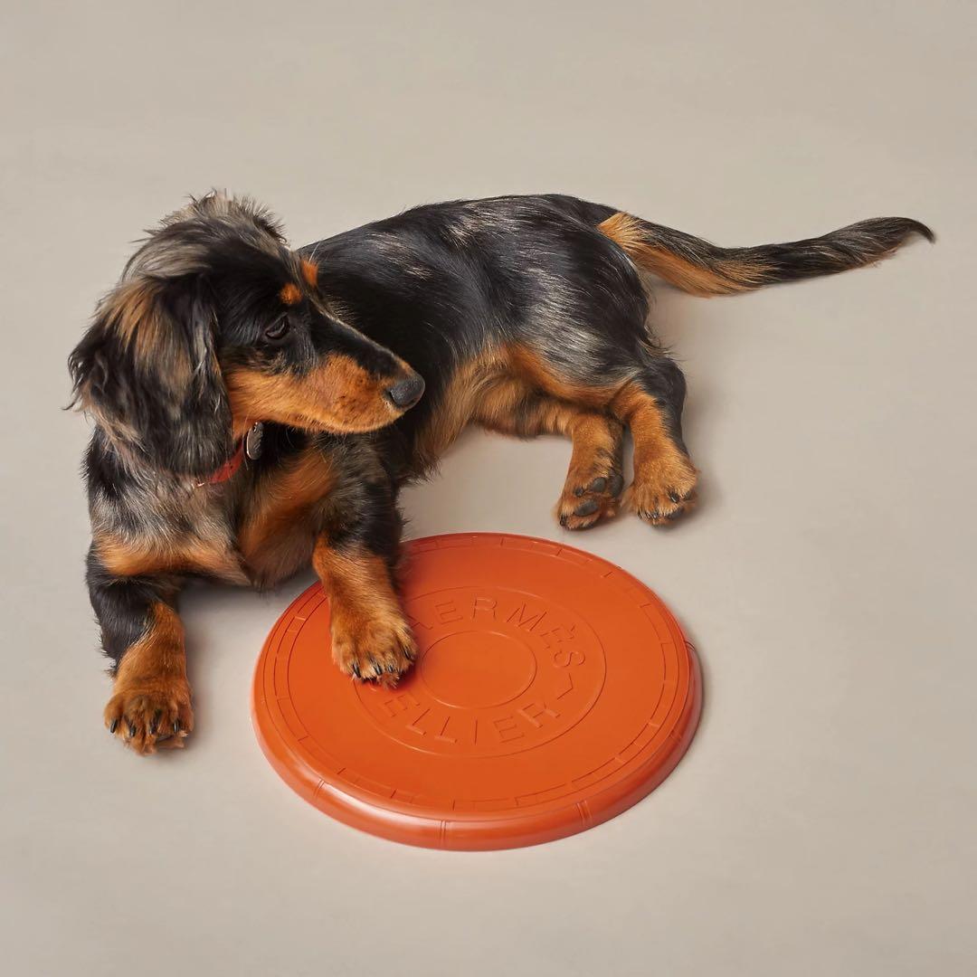 HERMES 犬用フリスビー　〈ウフ〉袋付き