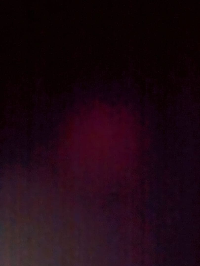 ⭐️SHINNN⭐️ 超超スペシャル 80s カーハート ブラック L 黒