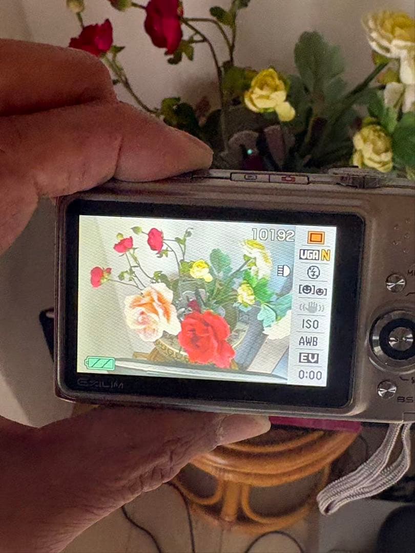 【動作確認済み】CASIO EX-Z1200 デジタルカメラ