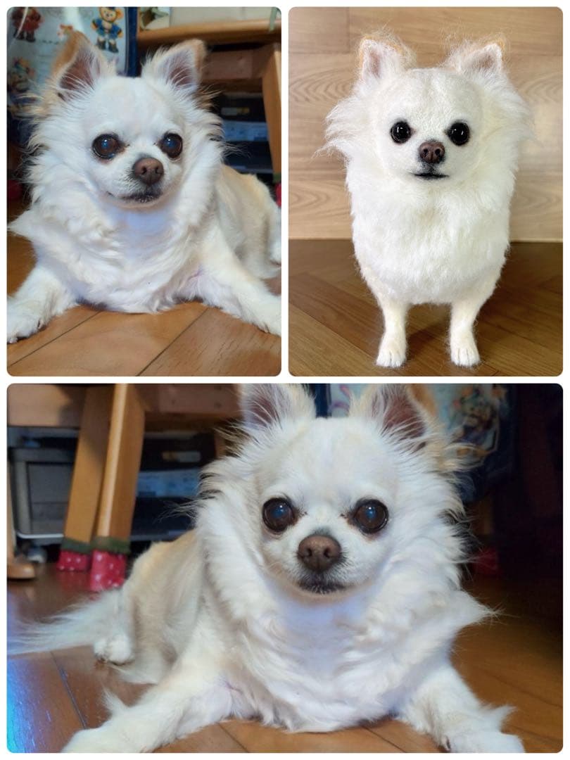 チャッピー様　追加オーダー専用　羊毛フェルト　犬　チワワ