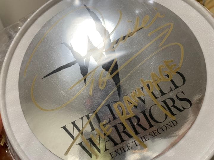 THERAMPAGE 武知海青 フリスビー