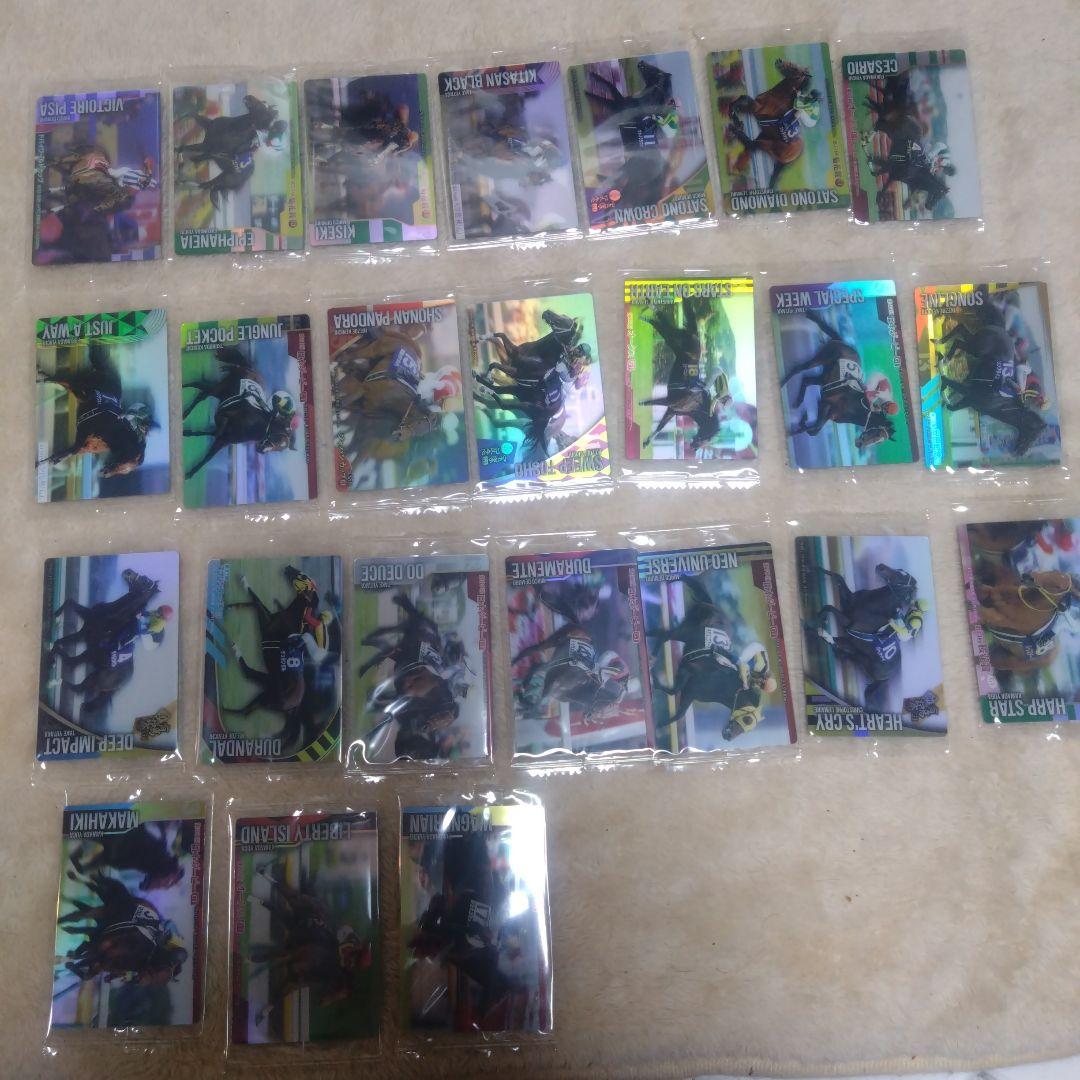 サラブレッドホースコレクション　R1