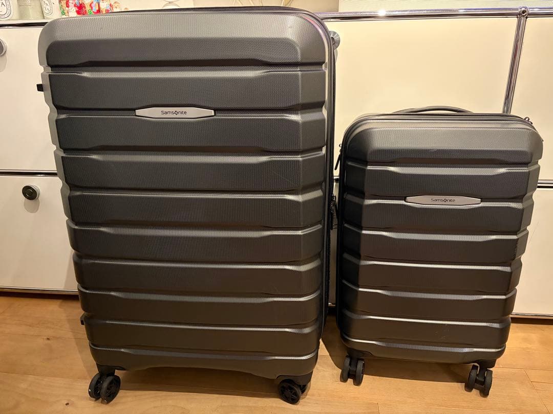 Samsonite グレー キャリーケース 112Lと41L