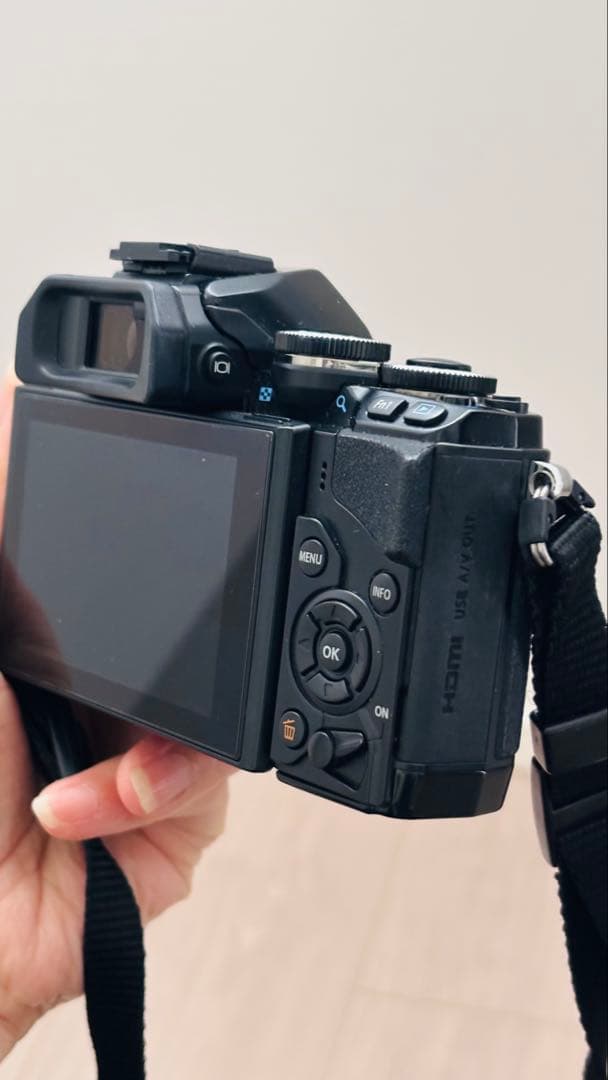 OLYMPUS OM-D E-M10 本体　レンズ付き