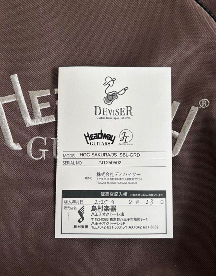 Headway ヘッドウェイ HOC-SAKURA/JS SBL-GRD アコギ