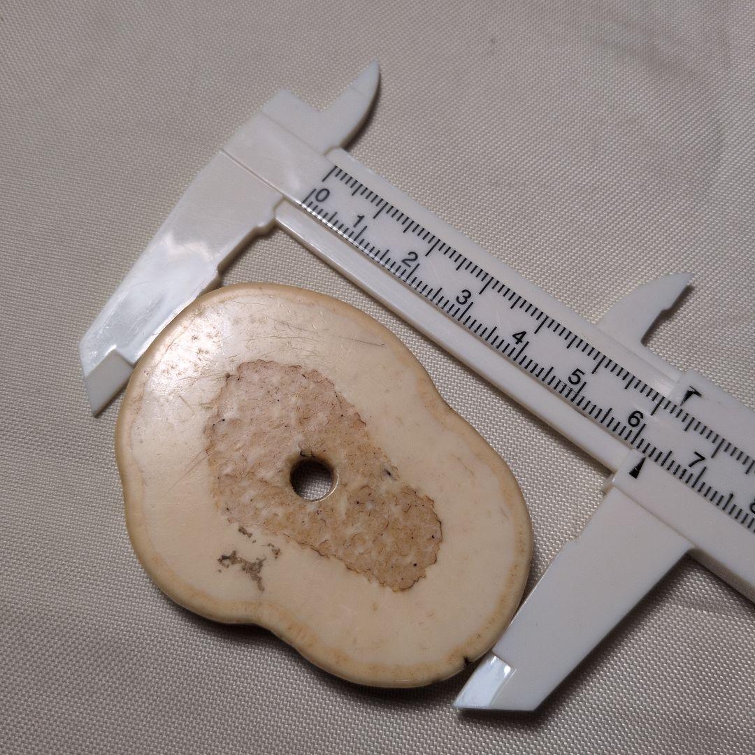 セイウチ牙 根付