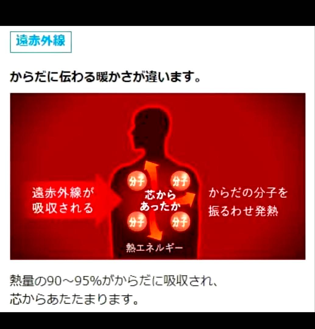 DAIKIN ダイキン セラムヒート ERFT11VS-W 遠赤外線暖房機