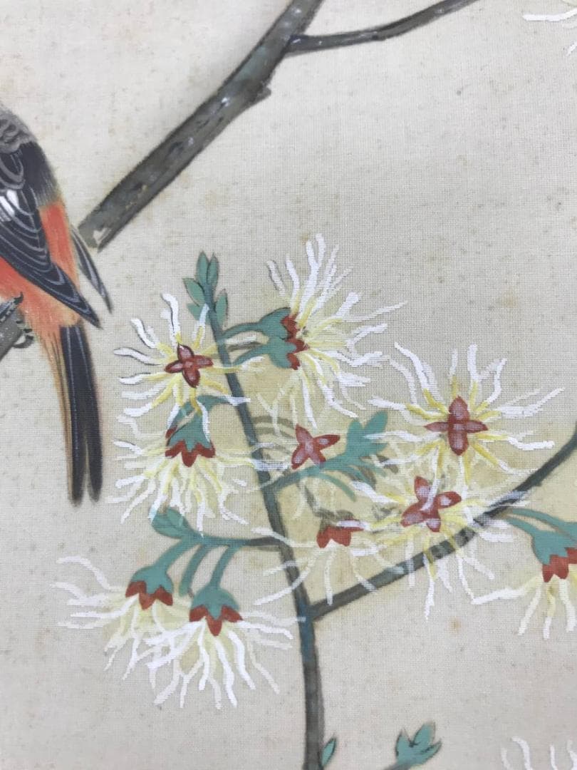 【真作】古川素水/金纓梅小禽図/花鳥図/小鳥図/掛軸/名家伝来/AC-75